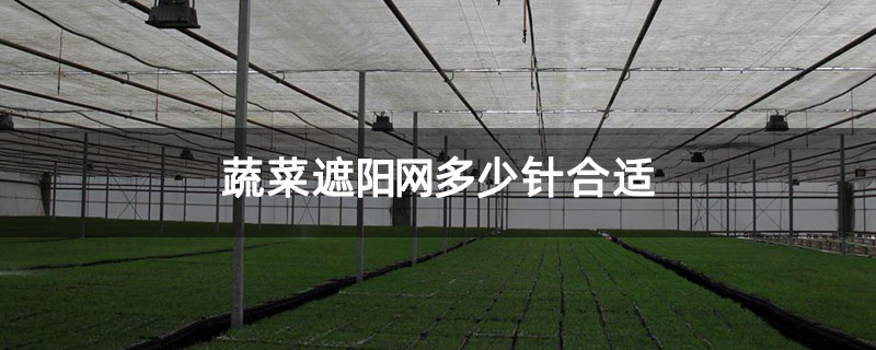 蔬菜遮阳网多少针合适 蔬菜遮阳网多少针合适