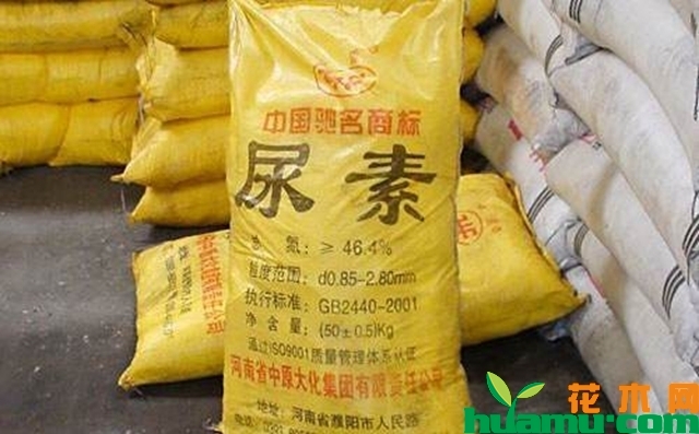 尿素图片.jpg