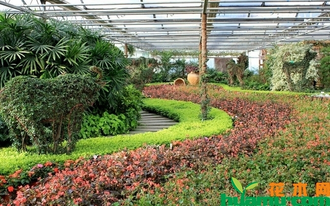 花卉种植大棚高清组图.jpg