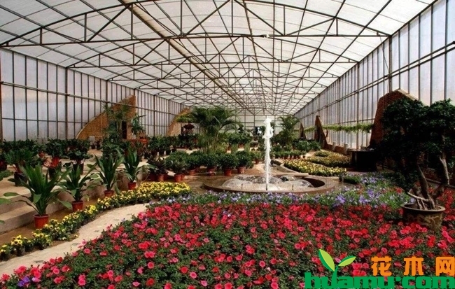 花卉种植大棚需多少钱？花卉种植大棚造价分析