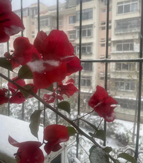 微信图片_20211107141720_副本.jpg