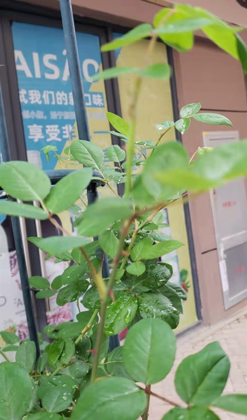 微信图片_20211104203920_副本.jpg