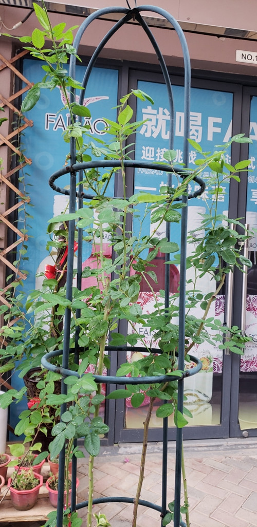 微信图片_20211104203926_副本.jpg