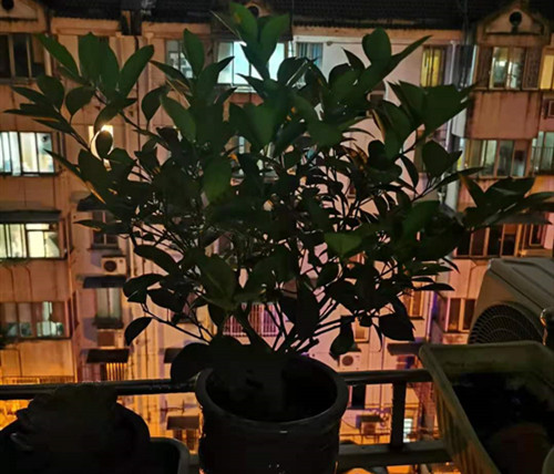 微信图片_20210728212154_副本.jpg