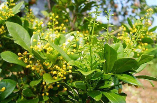 src=http___img3.ddove.com_upload_20130626_261200378301.JPG&refer=http___img3.ddove_副本.jpg