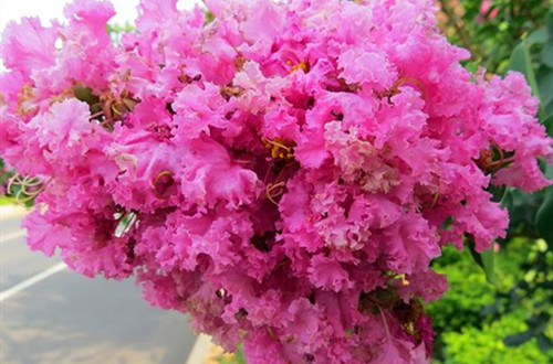 src=http___s15.sinaimg.cn_mw690_0043rrerzy74p67u3Qqbe&690&refer=http___s15.sinaimg_副本.jpg