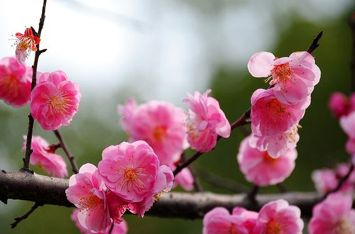 src=http___i4.download.fd.pchome.net_t_600x1024_g1_M00_10_13_oYYBAFWjDnGIEE7nAAXwiSkAAKkAAClxAFI5OoABfCh866.jpg&refer=http___i4.download.fd.pchome_副本.jpg