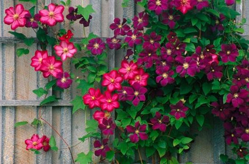 src=http___img.168mh.com_wp-content_uploads_2019_05_9232d805b4fc306.png&refer=http___img.168mh_副本.jpg