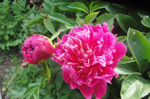 src=http___pic21.nipic.com_20120516_7960243_083138848000_2.jpg&refer=http___pic21.nipic_副本.jpg