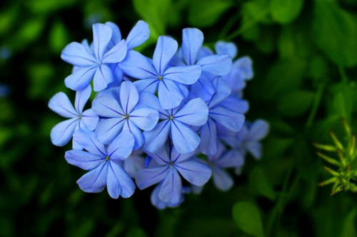 src=http___hbimg.b0.upaiyun.com_640070b7d7dfe7055d4a326f48314f8557e488a31dba2-1wjSmm_fw658&refer=http___hbimg.b0.upaiyun_副本.jpg