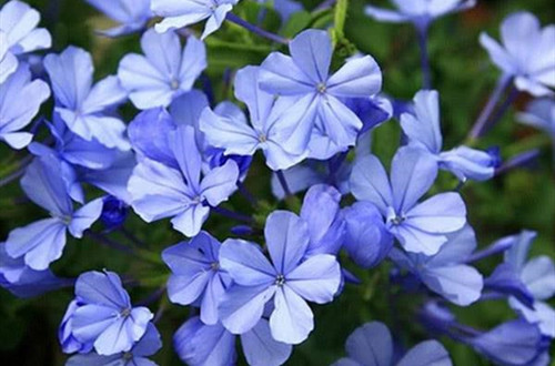src=http___inews.gtimg.com_newsapp_bt_0_8004522392_640&refer=http___inews.gtimg_副本.jpg