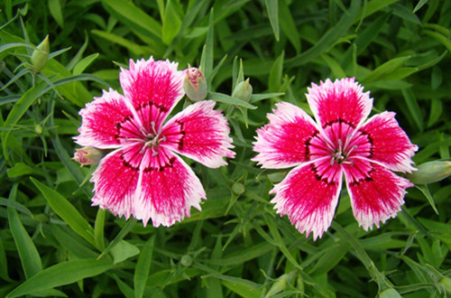 src=http___www.dajiazhao.com_uploads_allimg_170614_3-1F614163424238.jpg&refer=http___www.dajiazhao_副本.jpg