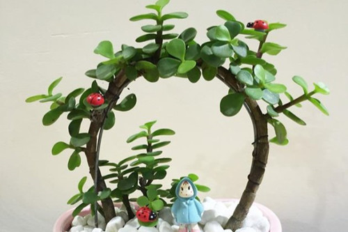 3da8f5bbe5e99a9c6a98bd99992c505c_副本.jpg