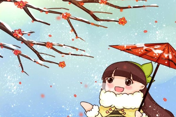 最贵气的梅花，多少人想养，都怕养不好！