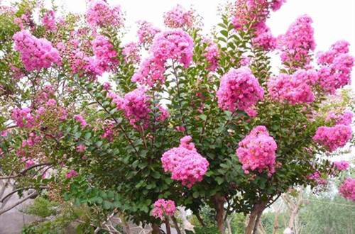 src=http___www.richwant.cn_CN_UploadFiles_Images_Product_b2014424112924.jpg&refer=http___www.richwant (1)_副本.jpg