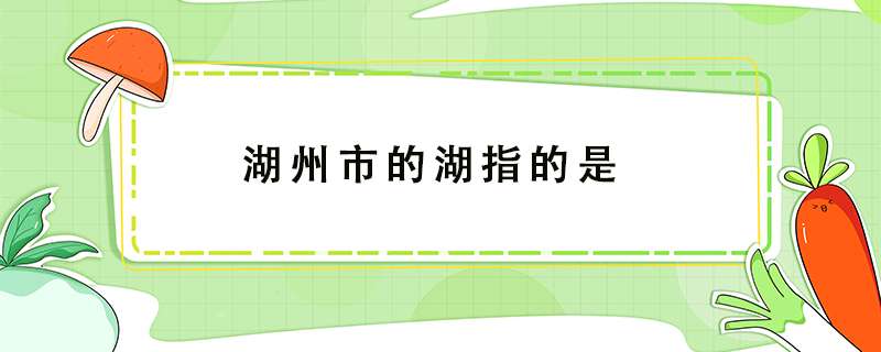 湖州市的湖指的是