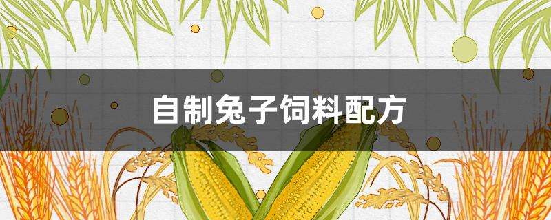 自制兔子饲料配方