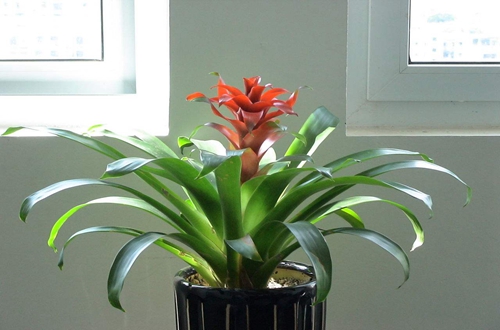h002.jpg