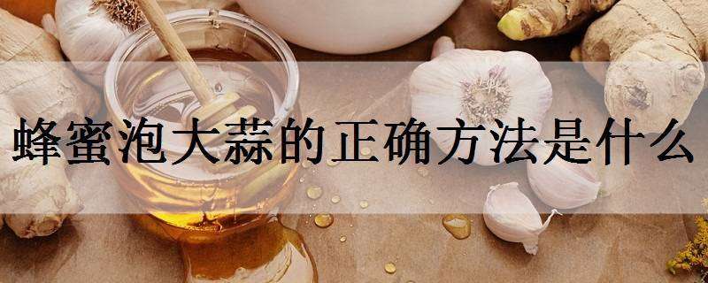 蜂蜜泡大蒜的正确方法是什么