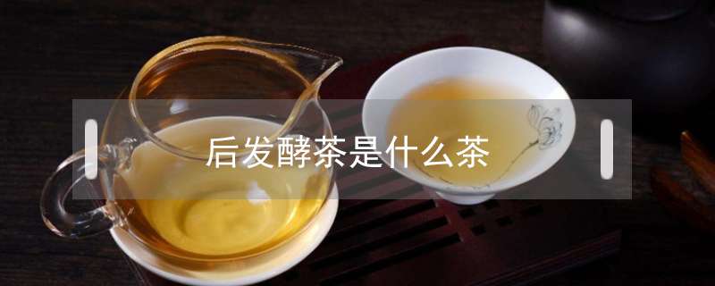 后发酵茶是什么茶