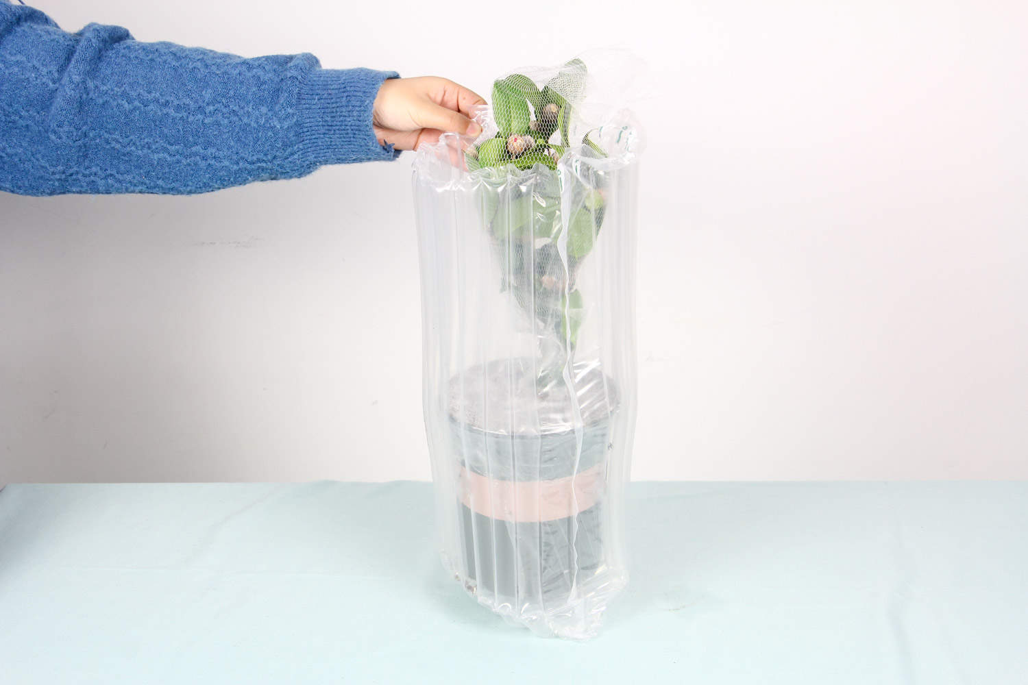 茶花 茶花