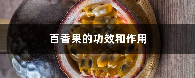 百香果的功效和作用