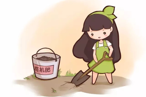 土里扔点儿这个，不施肥花也长得蹭蹭的