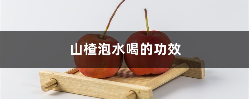 山楂的功效，山楂泡水喝的功效