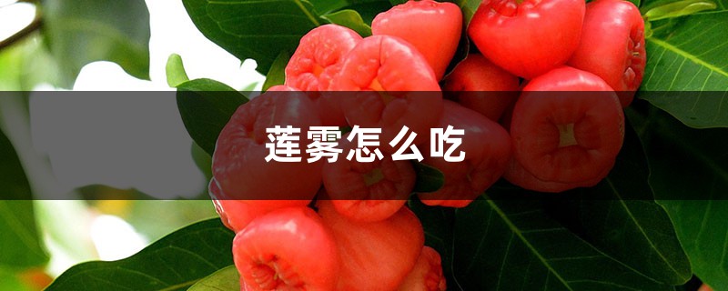 莲雾怎么吃，莲雾中间芯能吃吗