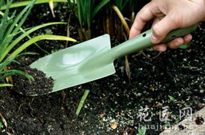 花卉施肥