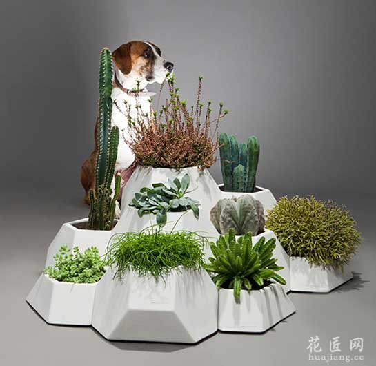 MA-CE-TA模块化花盆系列