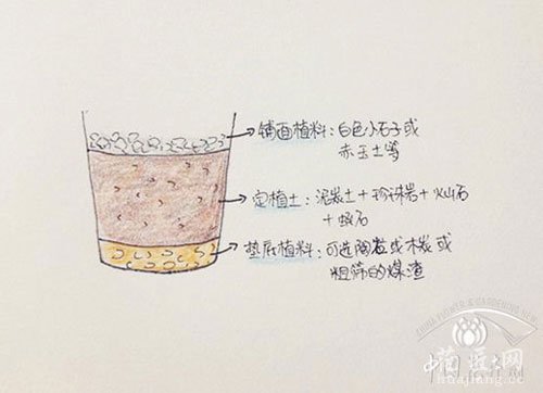 多肉配土