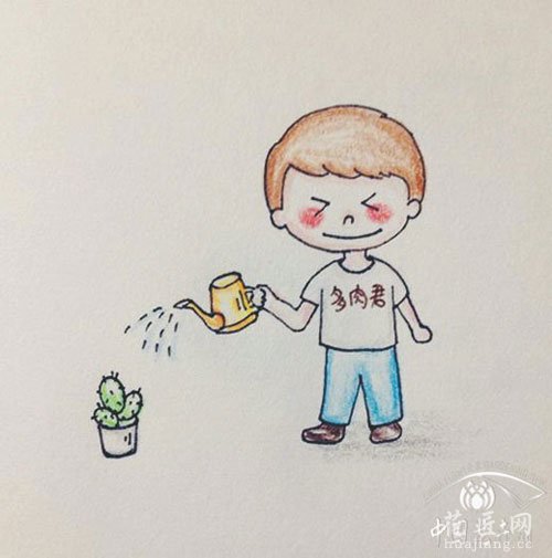 多肉浇水