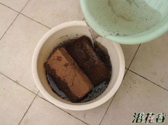椰砖的使用方法
