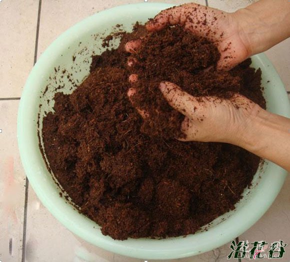椰砖的使用方法