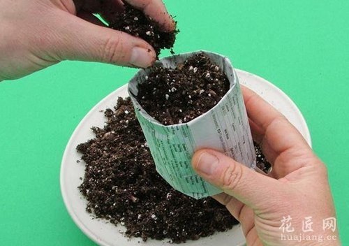 报纸折成育苗杯教程