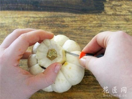 如何在南瓜里种植多肉植物