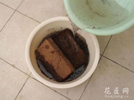 椰砖有什么用处