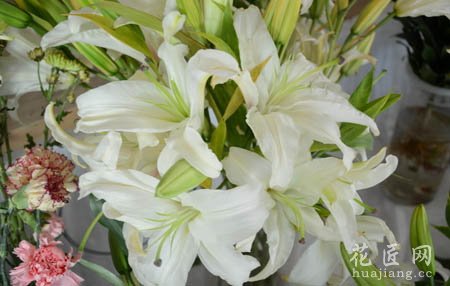百合花施什么肥好啊