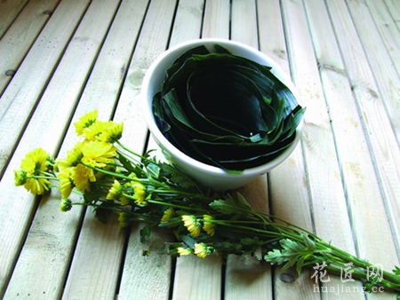 翠菊装饰