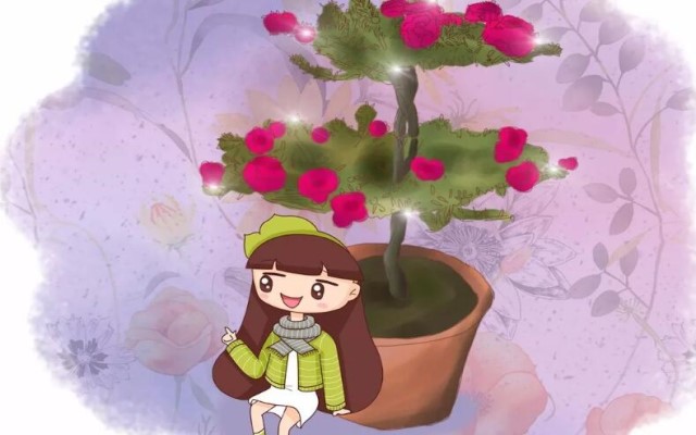 这5种花，半个月不浇水就成老桩，身价直翻10倍！