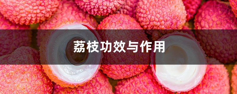 荔枝功效与作用，荔枝的图片