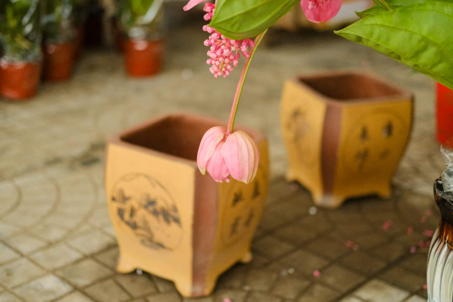 宝莲灯