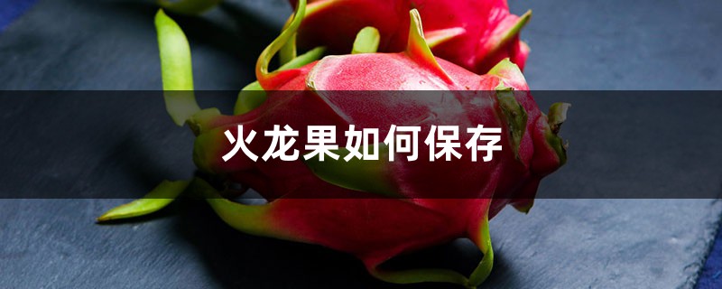火龙果如何保存，存放注意事项