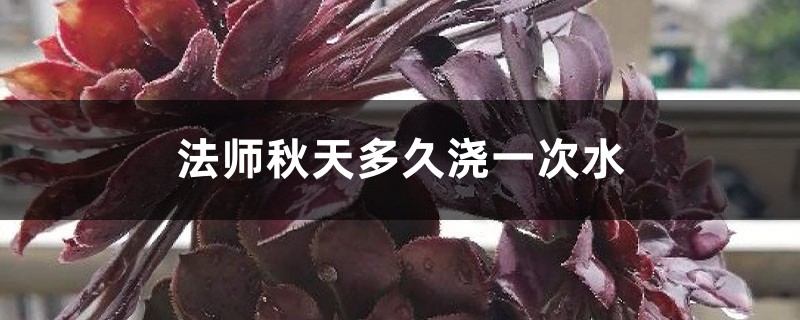 法师秋天多久浇一次水