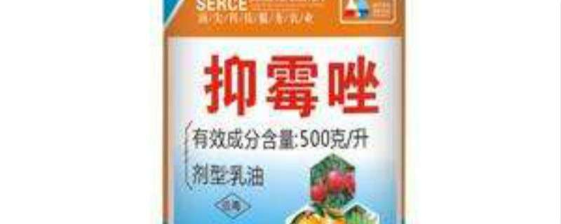 抑霉唑主治哪些病