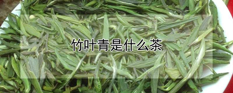 竹叶青是什么茶