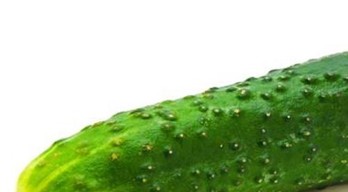 家常卷饼放什么菜好吃
