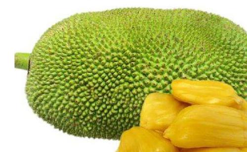 菠萝蜜怎么吃 菠萝蜜的正确食用方法