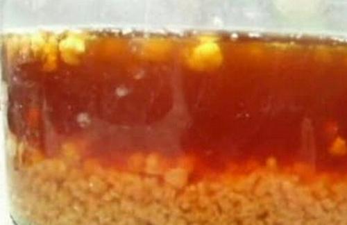 雪莲菌用红糖养的作用
